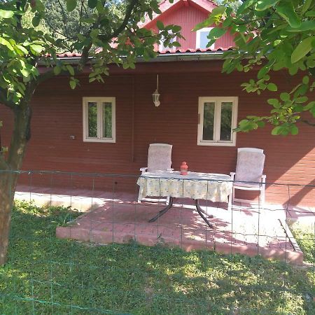 Rustic Country House In Snagov Daire Dış mekan fotoğraf