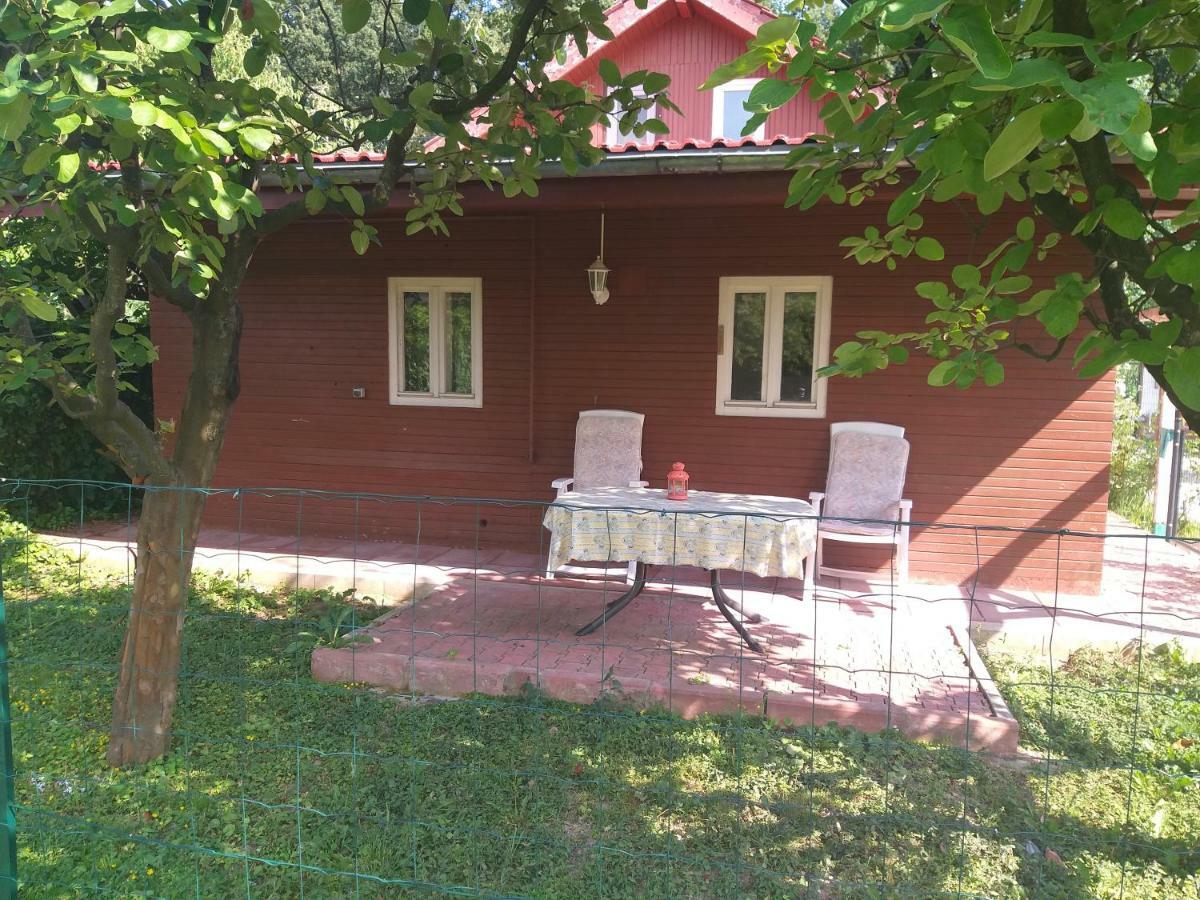 Rustic Country House In Snagov Daire Dış mekan fotoğraf